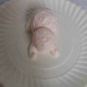 The practice measure of beautiful pig of butyric back up 4