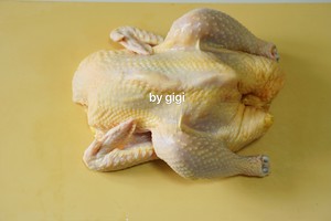 The practice measure of chicken of earthy boiler sanded ginger 1