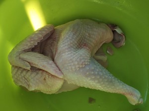 生理食塩水鶏肉4の実践尺度