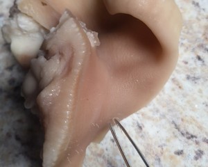 The practice measure of ear of pig of high-pressured boiler stew 3