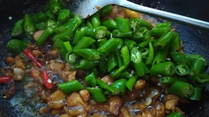 The practice measure that pointed any of several hot spice plants fries chicken 26