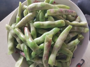 The practice measure of the kidney bean potato that stew 3