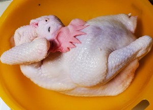 Chicken (saline    flavour cuts chicken in vain) practice measure 1