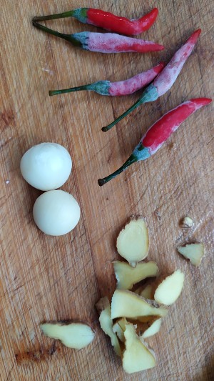 The practice measure that pointed any of several hot spice plants fries chicken 4