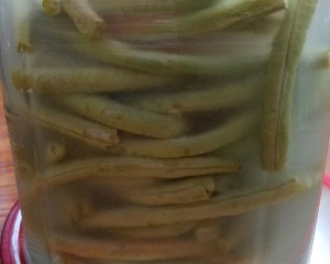 自己抑制されたアサビの豆の角（歴史はシンプルな3日間で終了します）練習対策 6 