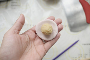 The practice measure of stuffed dumplings masse of glutinous rice flour served in soup of bud bud pig 29