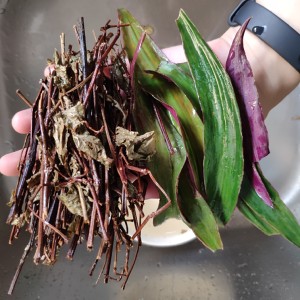 The practice measure of soup of sesame seed of horizontal  Man  of pig of lotus of spore of live charcoal mother 3