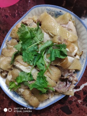 The practice measure of saline    chicken 1