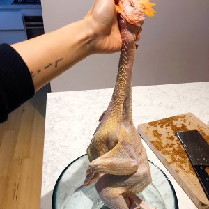 The saline    chicken that has salt and chicken only (edition of dawdler report rice cooker) practice measure 1