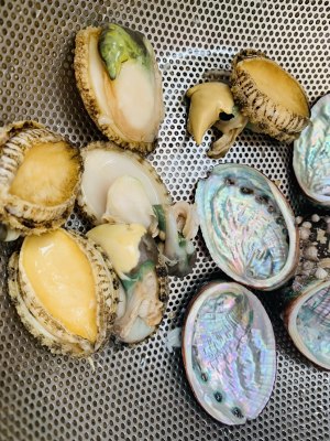 The practice measure of the abalone chicken of everyone is happy 9