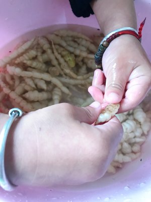 The ground calabash of dish of go with rice (white a black) simple the daily life of a family the practice measure of quick worker 2