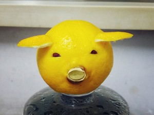 豚を飼う古代のレモン！対策1