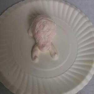 The practice measure of beautiful pig of butyric back up 3