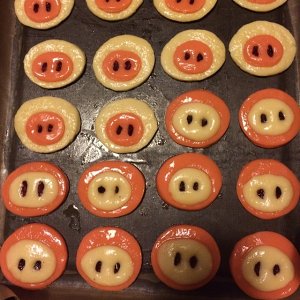 ビスケット豚の練習対策 6 