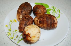 Taro practice measure of chicken 1