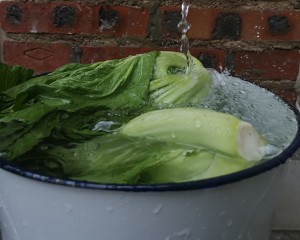 Pickled Chinese cabbage, god of go with rice implement, leave home town or oneself to do, the eating practice step that be at ease 2