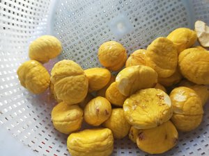 The practice measure of Chinese chestnut chicken 2