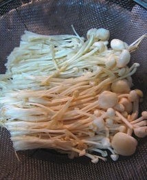 ニンニクの鍼治療の針の進行の停留の実践尺度4