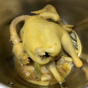 Saline    chicken -- the practice measure of edition of cast-iron boiler anhydrous 18