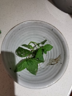 The practice measure of chicken of peaceful type curry 8