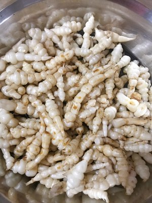 The ground calabash of dish of go with rice (white a black) simple the daily life of a family the practice measure of quick worker 4