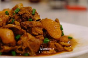 The practice measure of chicken of stew of Magimix · sanded ginger 9