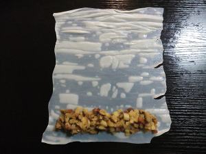 豚の腸のピンク7