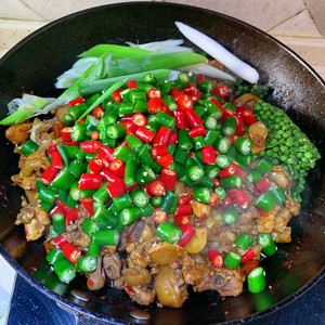 The practice measure of chicken of pointed any of several hot spice plants of Or of chicken of Chongqing Chinese prickly ash 7