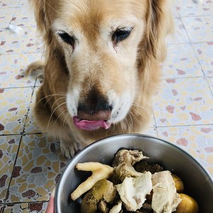 鶏肉の蒸発（広東省は心臓の練習を手配します） 練習対策13 