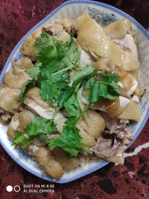 The practice measure of saline    chicken 2