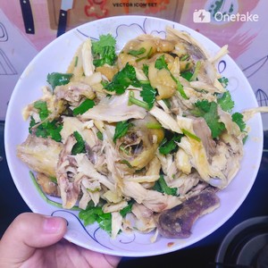 Saline    hand rips chicken (edition of electric rice cooker) practice measure 9