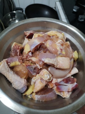 The practice measure of chicken of arenaceous boiler sanded ginger 1