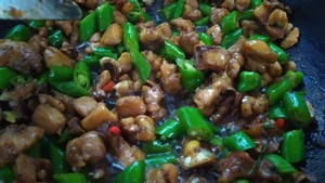 The practice measure that pointed any of several hot spice plants fries chicken 27