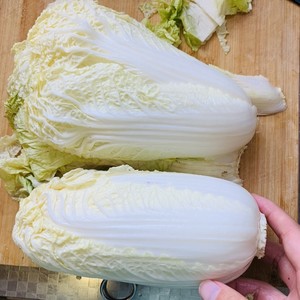 The practice measure of smooth Chinese cabbage of vinegar of the daily life of a family 1