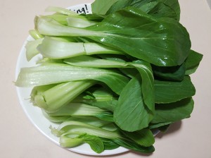 豚肉ポテトビーンの角の白菜の豆腐の実践尺度 stew 5 