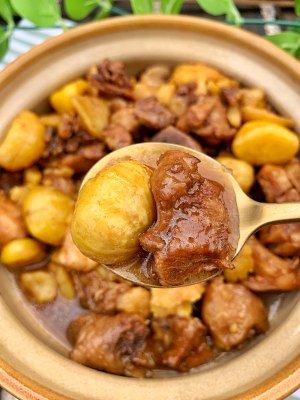 The practice measure that exceeds delicious Chinese chestnut carbonado 8