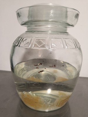ピクルス4の練習尺度