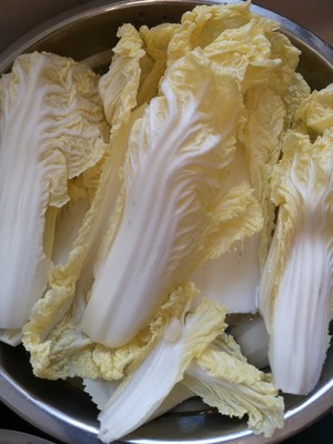 Chicken of hemp of any of several hot spice plants + measure of practice of chicken broth assorted 9