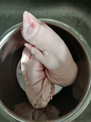The practice measure of hoof of cook again pig 1