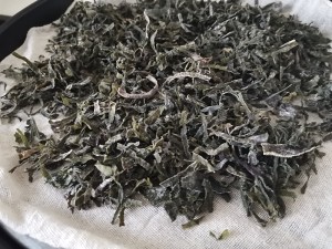 ゴマ ケルプ、繊細な器用な手、カルシウムを満たした以下の食事の練習尺度を混合します1 