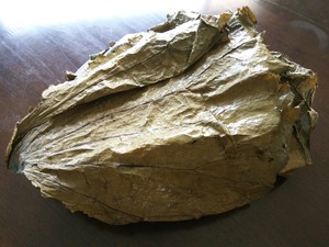 The practice measure of chicken of quick worker polished glutinous rice 7