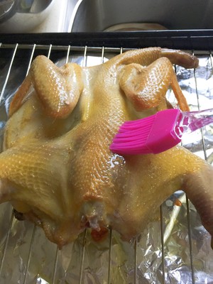The practice measure of chicken of oven salt    5