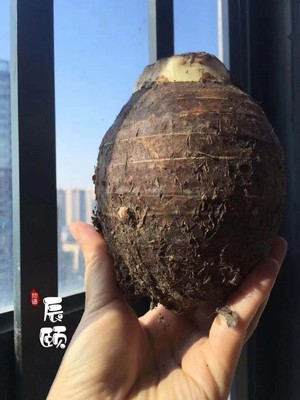 The practice measure that Li riverside taro exceeds next delicious meal 1