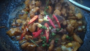 The practice measure that pointed any of several hot spice plants fries chicken 24