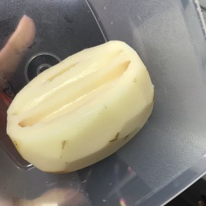 The practice measure of pink of bowel of pig of evaporate of lotus root silk 1