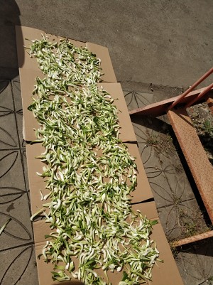 Cupreous hill special local product is popular the practice measure of dish of hot food go with rice 4