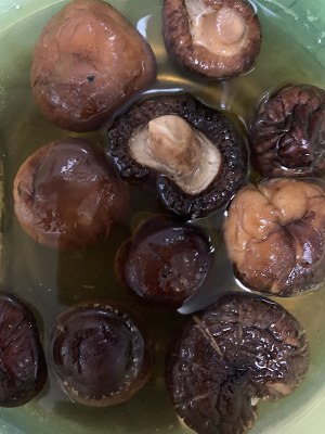 The practice measure that exceeds chicken of delicious Xianggu mushroom yellow stew 4