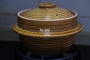 The practice measure of chicken of earthy boiler sanded ginger 9