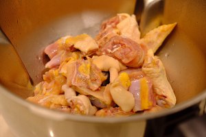 The practice measure of chicken of stew of Magimix · sanded ginger 4