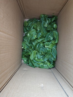 Cupreous hill special local product is popular the practice measure of dish of hot food go with rice 3